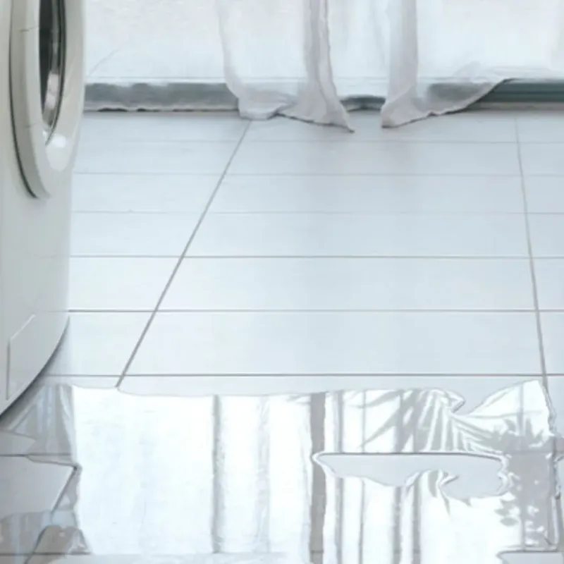 Appliance Leak Cleanup in Lamartine, WI