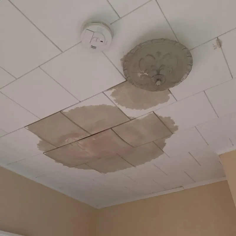 Ceiling Water Damage Repair in Lamartine, WI