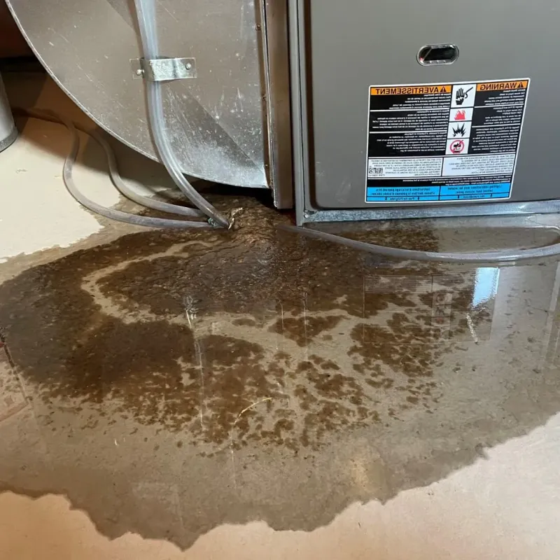 Pipe Burst and Leak Restoration in Lamartine, WI