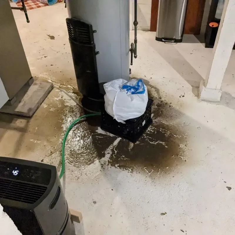 Sewage Backup Cleanup Service in Lamartine, WI